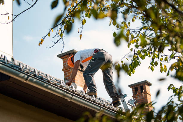Best Tile Roofing Contractor  in West Point, UT
