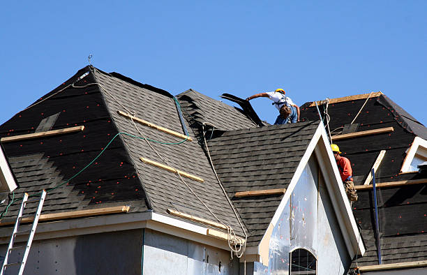 Best Storm Damage Roof Repair  in West Point, UT